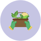 Basket of plants